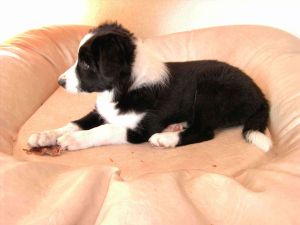 Bunny Juli06-02 022.jpg